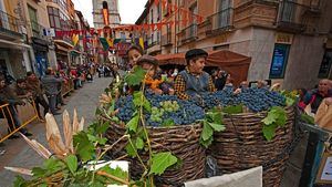 Actividades durante la tradicional Fiesta de la Vendimia de Toro