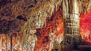 Excursión por las profundidades de Palma: las Cuevas de Génova