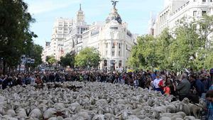 La Trashumancia, reivindicación de las tradiciones rurales