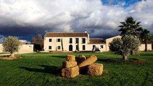 Finca La Torre ha iniciado la cosecha y molturación