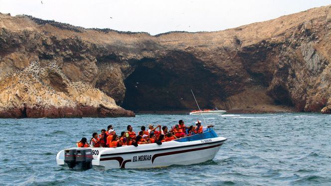 Islas Palomino e Islas Ballestas, un sorprendente conjunto de islas en Perú