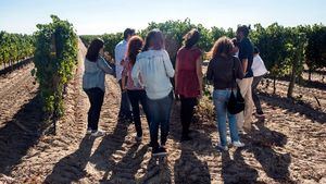 Día Europeo del Enoturismo, el enoturístico un sector al alza en el medio rural