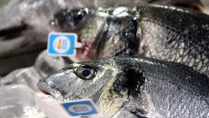 Pescados para la gastronomía del siglo XXI
