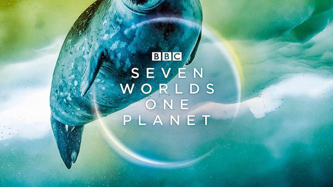 Emirates, emitirá el documental Seven Worlds, One Planet a bordo