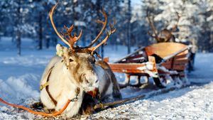 Destinos navideños irresistibles para enamorase de la Navidad