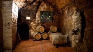 Recuperación del patrimonio vinícola subterráneo