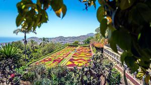 Los jardines de Madeira, verdaderos paraísos de la naturaleza