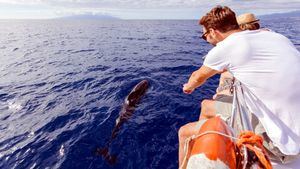 Mission Blue reconoce la riqueza de las aguas de Tenerife y La Gomera