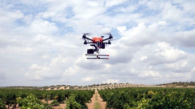 Drones e inteligencia artificial para una viticultura de precisión