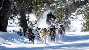 Andorra: experiencias insólitas en la nieve