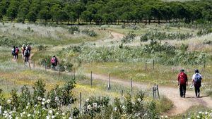 El Camino de Santiago desde Alentejo y otras novedades del destino portugués en Fitur 2020