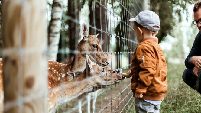 Las 10 mejores ciudades de España para viajar con niños