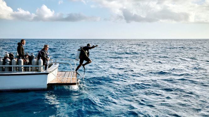 Airbnb busca voluntarios para pasar dos meses en las Bahamas