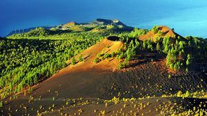 Ocho senderos para perderse en la naturaleza de la isla de La Palma