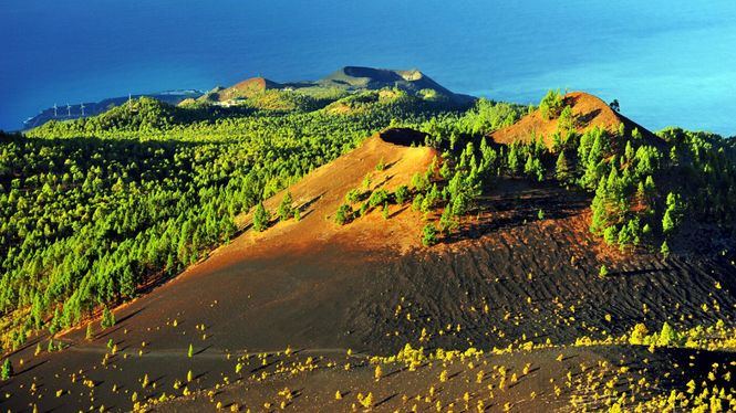 Ocho senderos para perderse en la naturaleza de la isla de La Palma