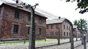 Auschwitz-Birkenau