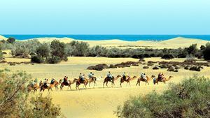 Dunas. Maspalomas