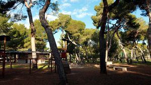 Paseo desde casa por cinco espacios verdes de Castellón