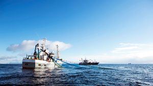 Barco pesca bacalao noruego