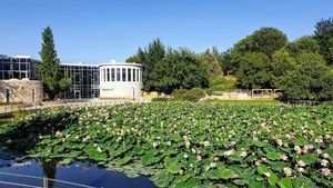 Jardín Botánico de Jerusalén