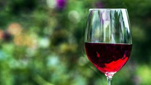 Consejos para escoger un buen vino