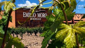 Emilio Moro vuelve a abrir sus puertas al enoturismo con nuevas experiencias