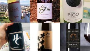 CanaryWine protagonistas del Concurso Oficial de Vinos Agrocanarias 2020