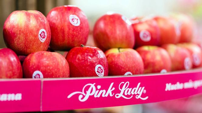 Las manzanas Pink Lady han batido todos los records, con siete millones de kilos recogidos