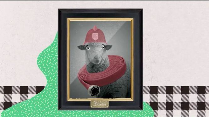 El pastoreo tradicional de ovejas y cabras un aliado frente a los incendios