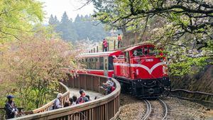 Tren de los bosques en Alishan