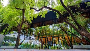 Primera biblioteca forestal de Taiwán