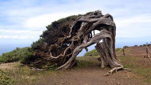 El Hierro, la isla del fin del mundo, la isla con alma