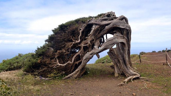 El Hierro, la isla del fin del mundo, la isla con alma