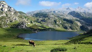 Lagos Covadonga, Asturias
