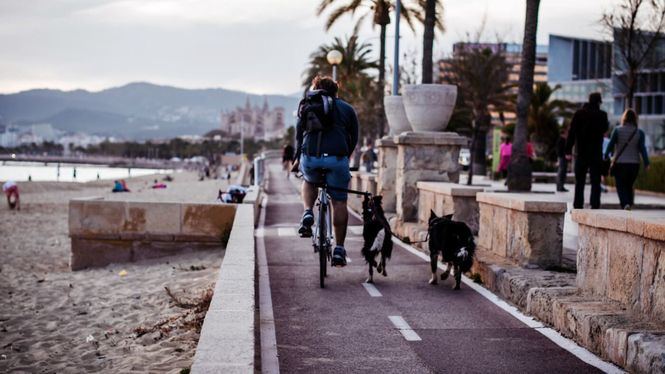 Palma, un gimnasio al aire libre