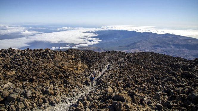 Tenerife, es en estos momentos el destino más seguro de Canarias
