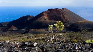 Ruta de los Volcanes - La Palma