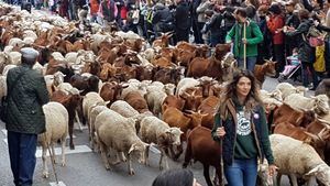 La trashumancia, una tradición que no puede caer en el olvido ni en el desuso