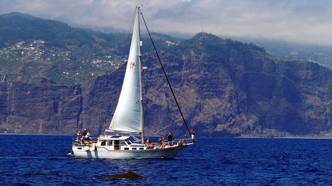 Madeira, un paraíso para disfrutar del mar