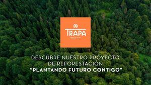 Proyecto para reforestar los bosques españoles de la firma chocolatera española Trapa