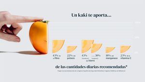 El perfil nutricional del Kaki Persimon