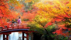 La promesa de Kioto: mejorar su bienestar