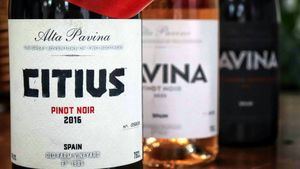 Regalar vino por Navidad, selección para estas fiestas de Bodegas Alta Pavina