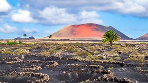 Lanzarote, la isla de los 100 volcanes