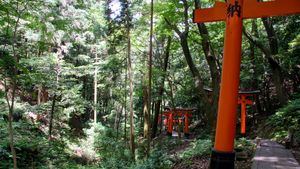 Pista de Senderismo en Fushimi Inari