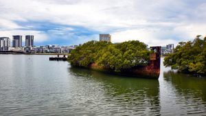 Barco SS Ayrfield (Bahía de Homebush, Australia)