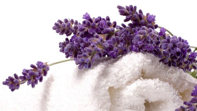 El efecto calmante y relajante en la piel de la lavanda y la menta