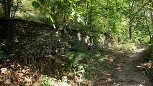 Bosques y parajes naturales para dejarse cautivar por Valonia