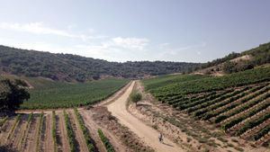 Experiencias sensoriales en torno al vino y al fabuloso paisaje que lo rodea