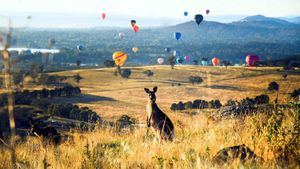 Canberra: Un destino culinario emergente